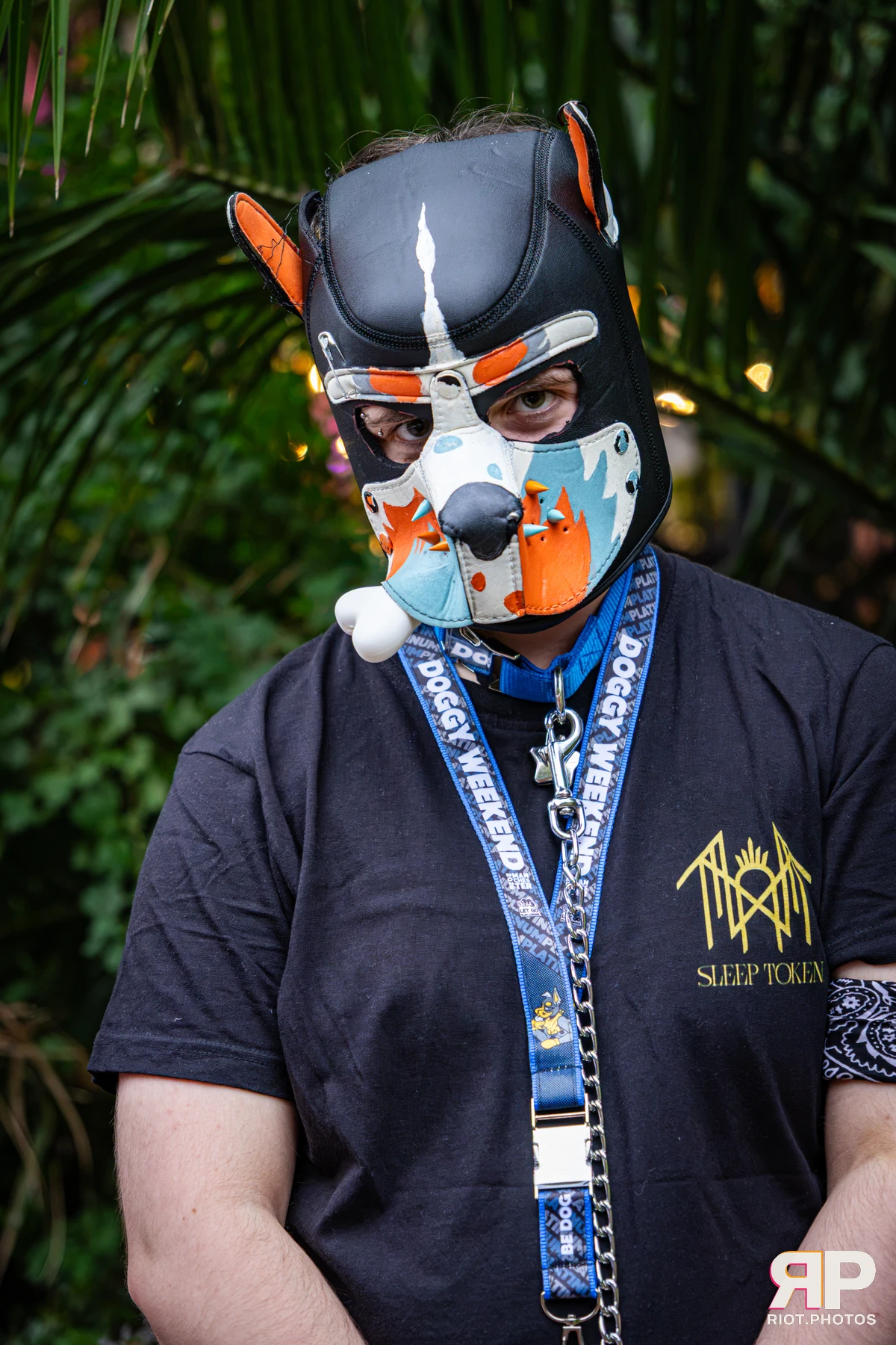 Doggy Weekend 2026 - 18 Oct 2026, Fluffy Riot photography - photo 690