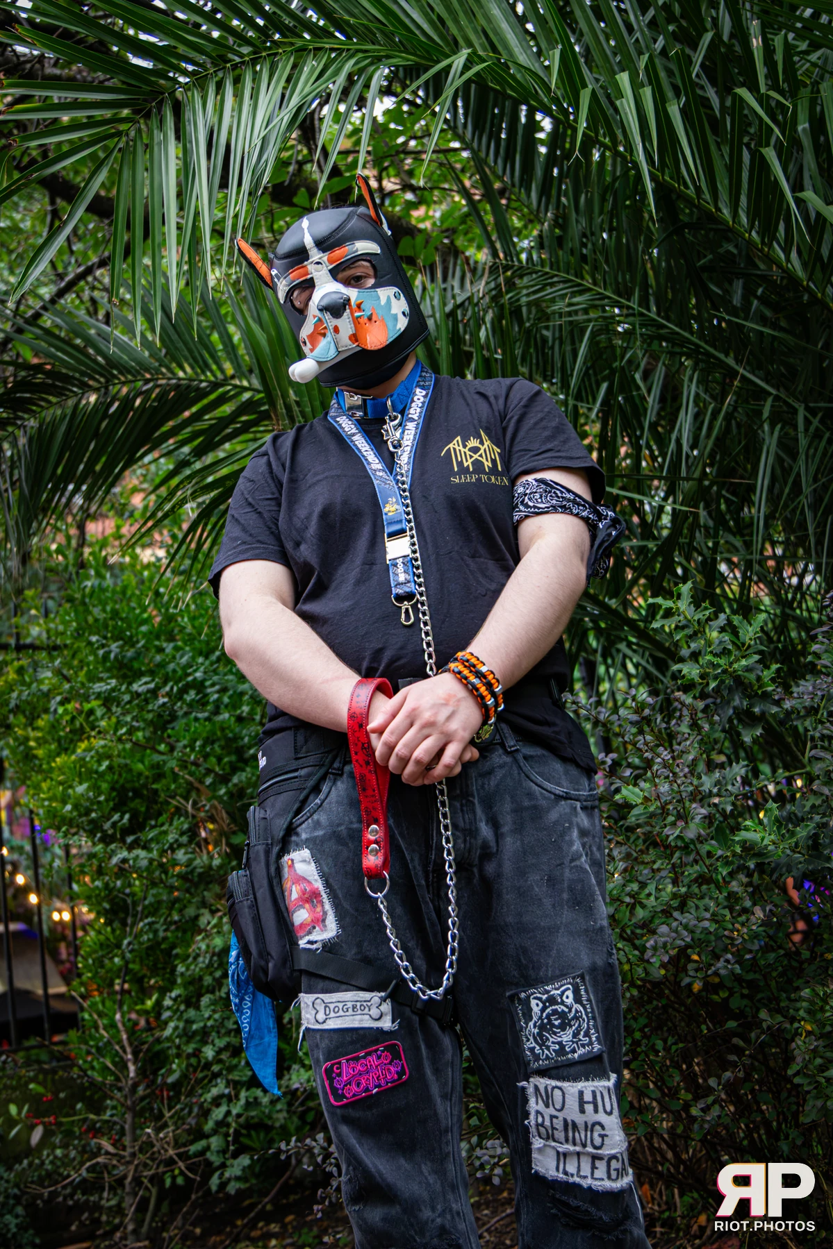Doggy Weekend 2026 - 18 Oct 2026, Fluffy Riot photography - photo 688