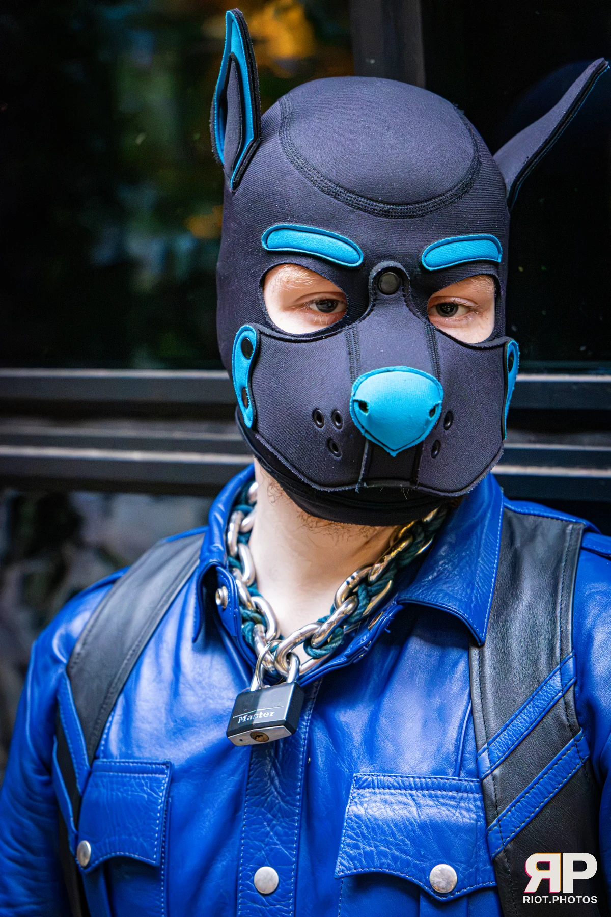 Doggy Weekend 2026 - 18 Oct 2026, Fluffy Riot photography - photo 685