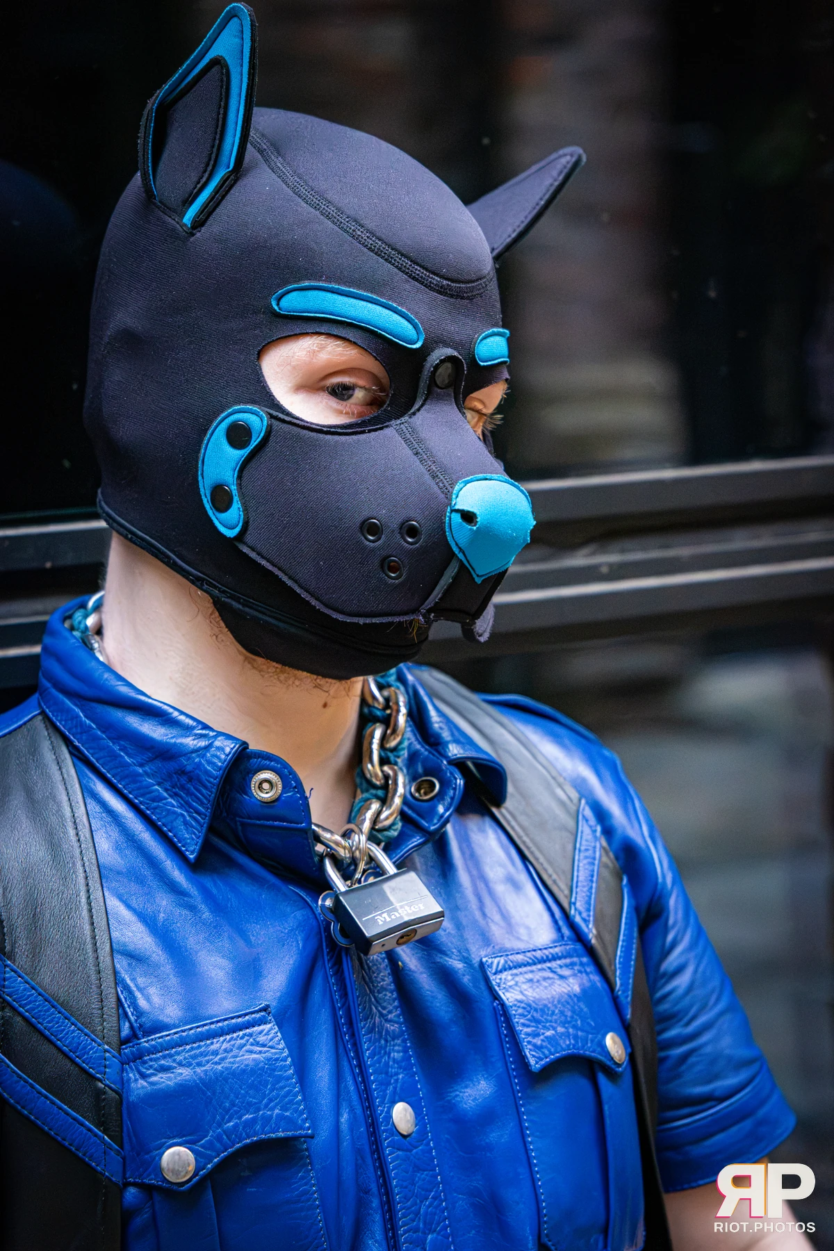 Doggy Weekend 2026 - 18 Oct 2026, Fluffy Riot photography - photo 684