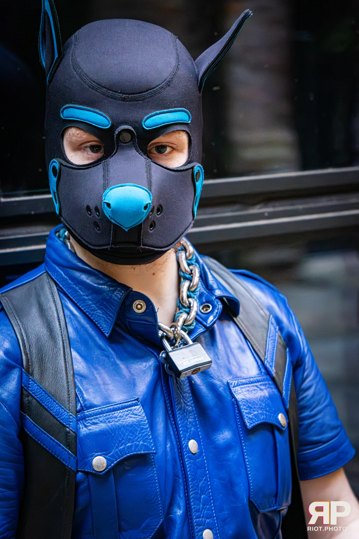 Doggy Weekend 2026 - 18 Oct 2026, Fluffy Riot photography - photo 683