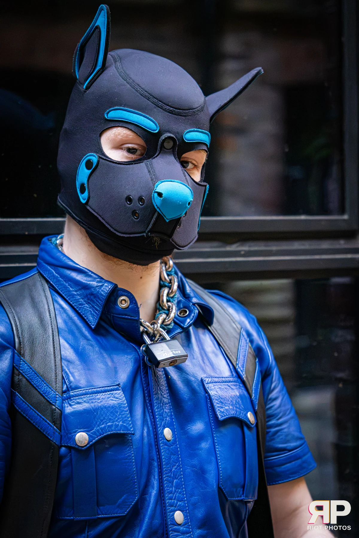 Doggy Weekend 2026 - 18 Oct 2026, Fluffy Riot photography - photo 682
