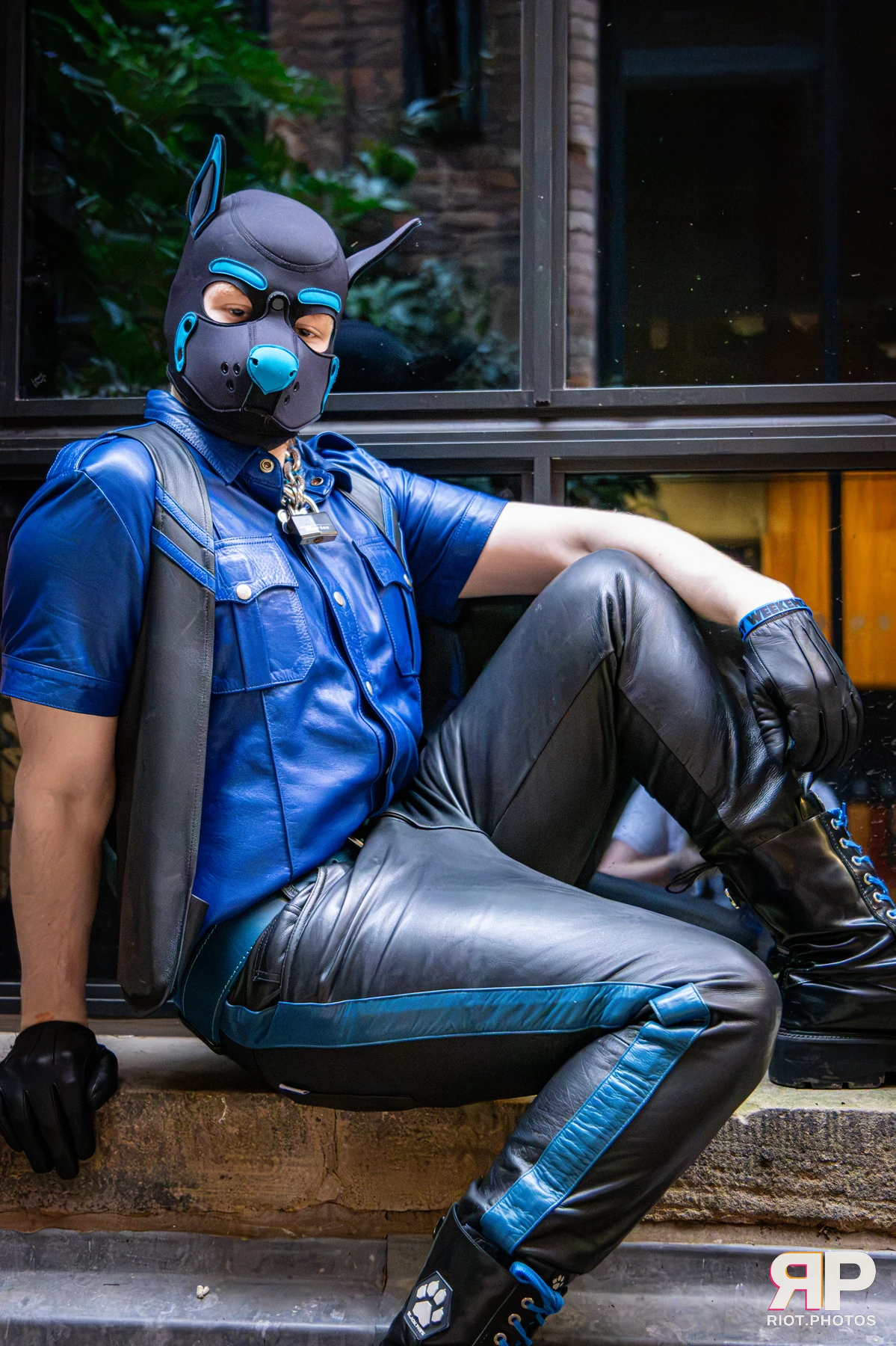 Doggy Weekend 2026 - 18 Oct 2026, Fluffy Riot photography - photo 679