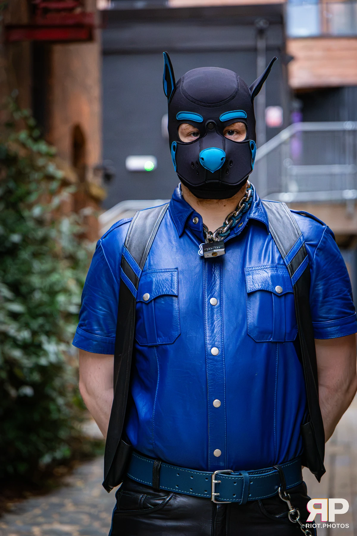 Doggy Weekend 2026 - 18 Oct 2026, Fluffy Riot photography - photo 675