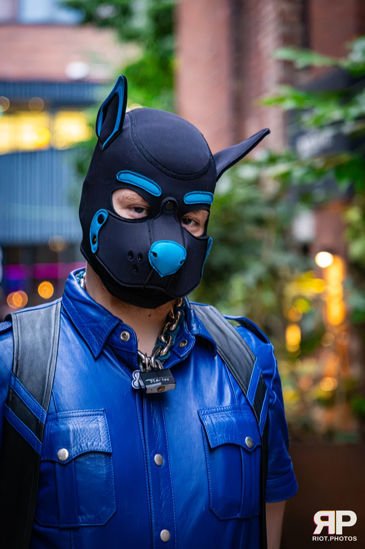 Doggy Weekend 2026 - 18 Oct 2026, Fluffy Riot photography - photo 674
