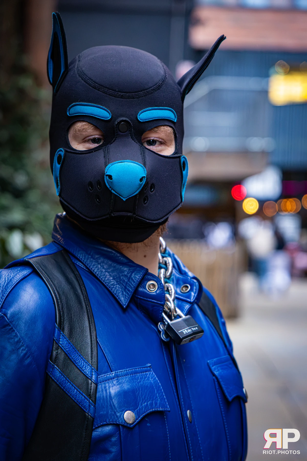 Doggy Weekend 2026 - 18 Oct 2026, Fluffy Riot photography - photo 673