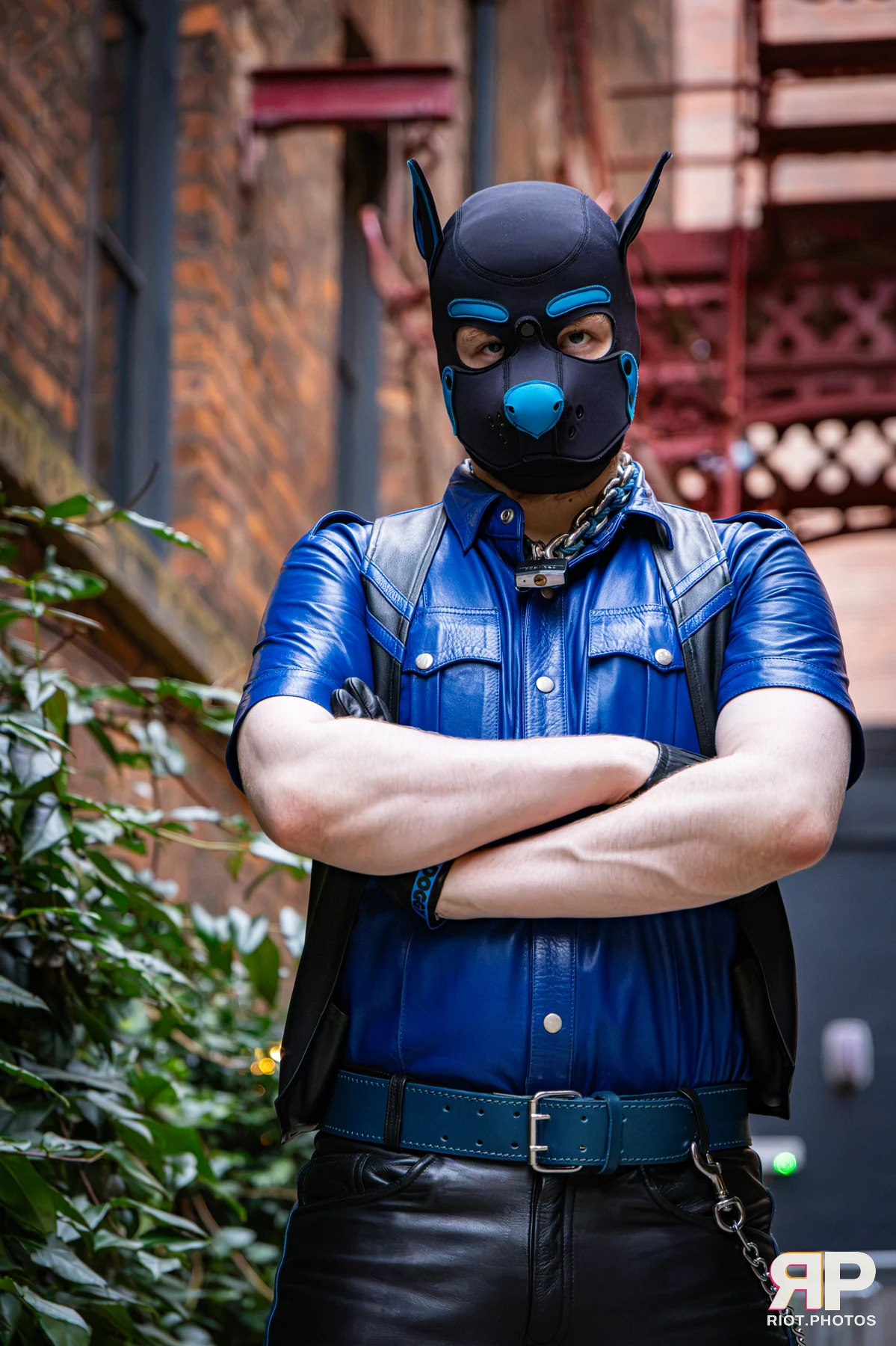 Doggy Weekend 2026 - 18 Oct 2026, Fluffy Riot photography - photo 672