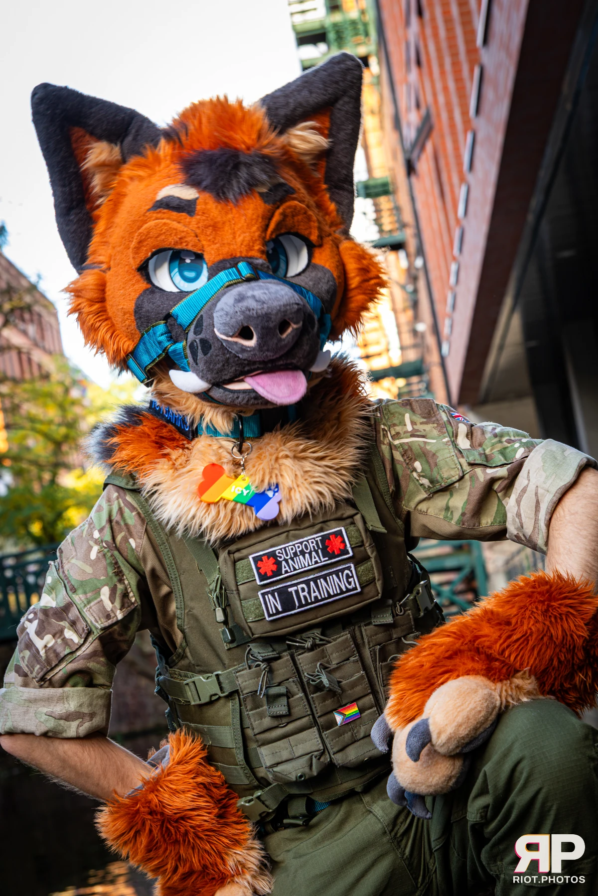 Doggy Weekend 2026 - 18 Oct 2026, Fluffy Riot photography - photo 207
