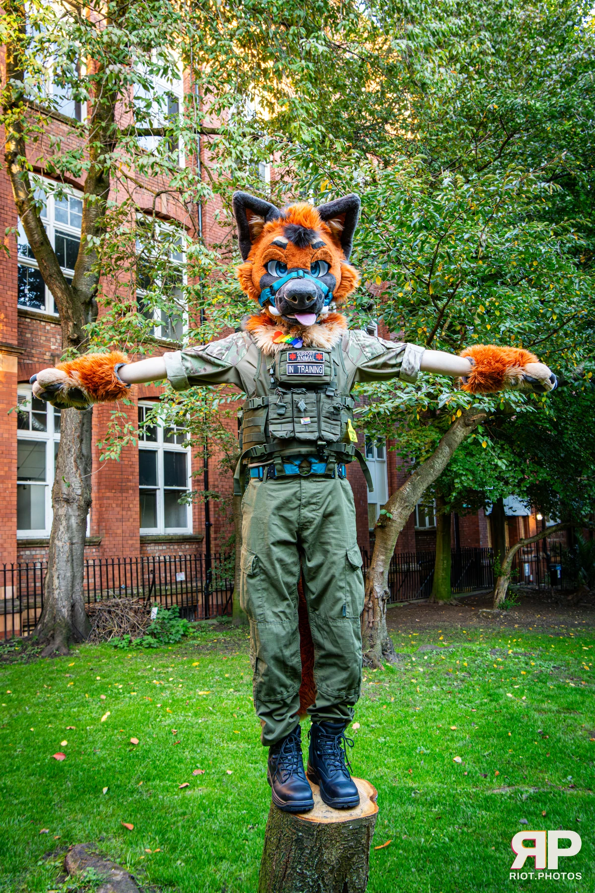 Doggy Weekend 2026 - 18 Oct 2026, Fluffy Riot photography - photo 201