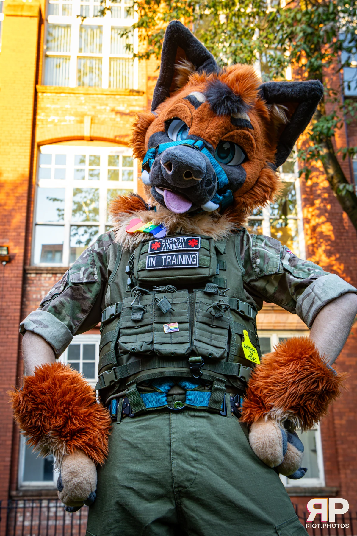 Doggy Weekend 2026 - 18 Oct 2026, Fluffy Riot photography - photo 200
