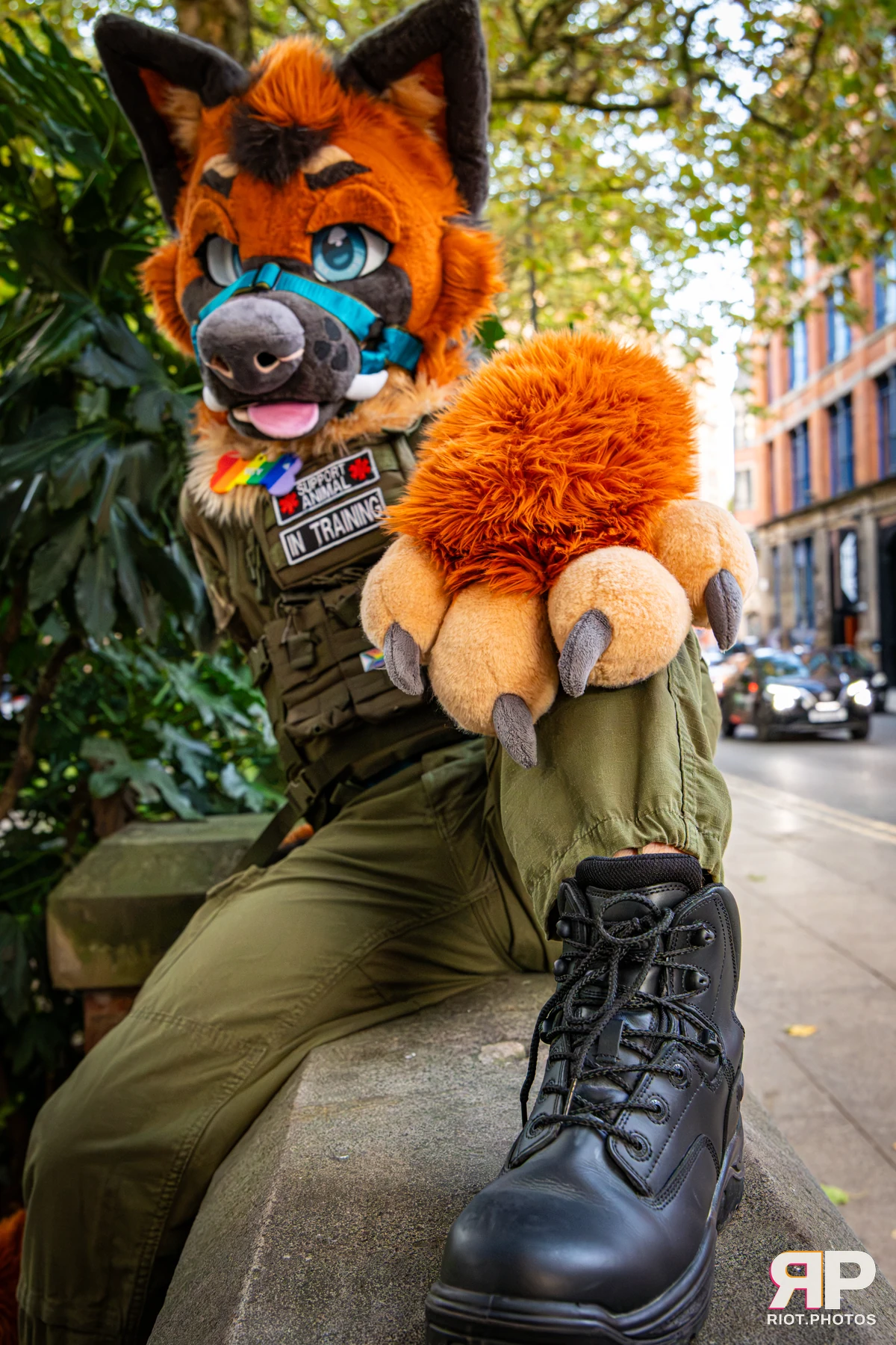 Doggy Weekend 2026 - 18 Oct 2026, Fluffy Riot photography - photo 194