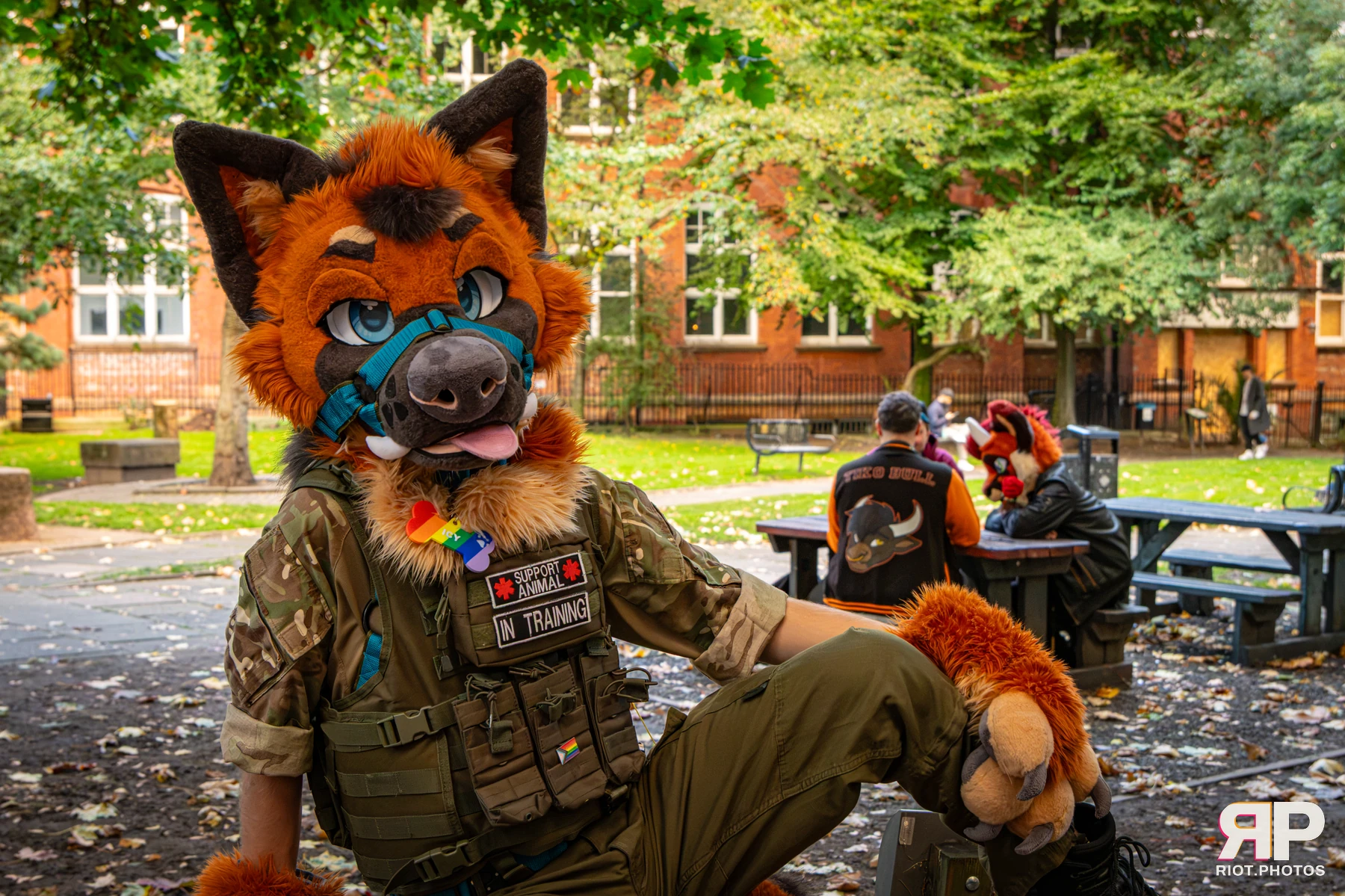 Doggy Weekend 2026 - 18 Oct 2026, Fluffy Riot photography - photo 193