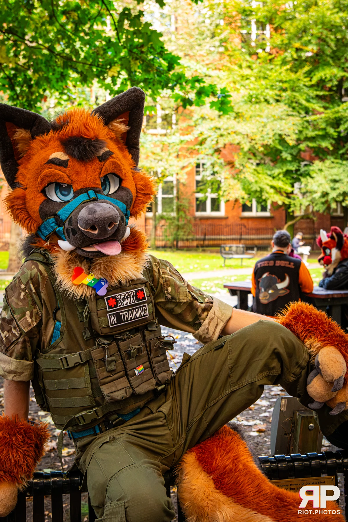 Doggy Weekend 2026 - 18 Oct 2026, Fluffy Riot photography - photo 192