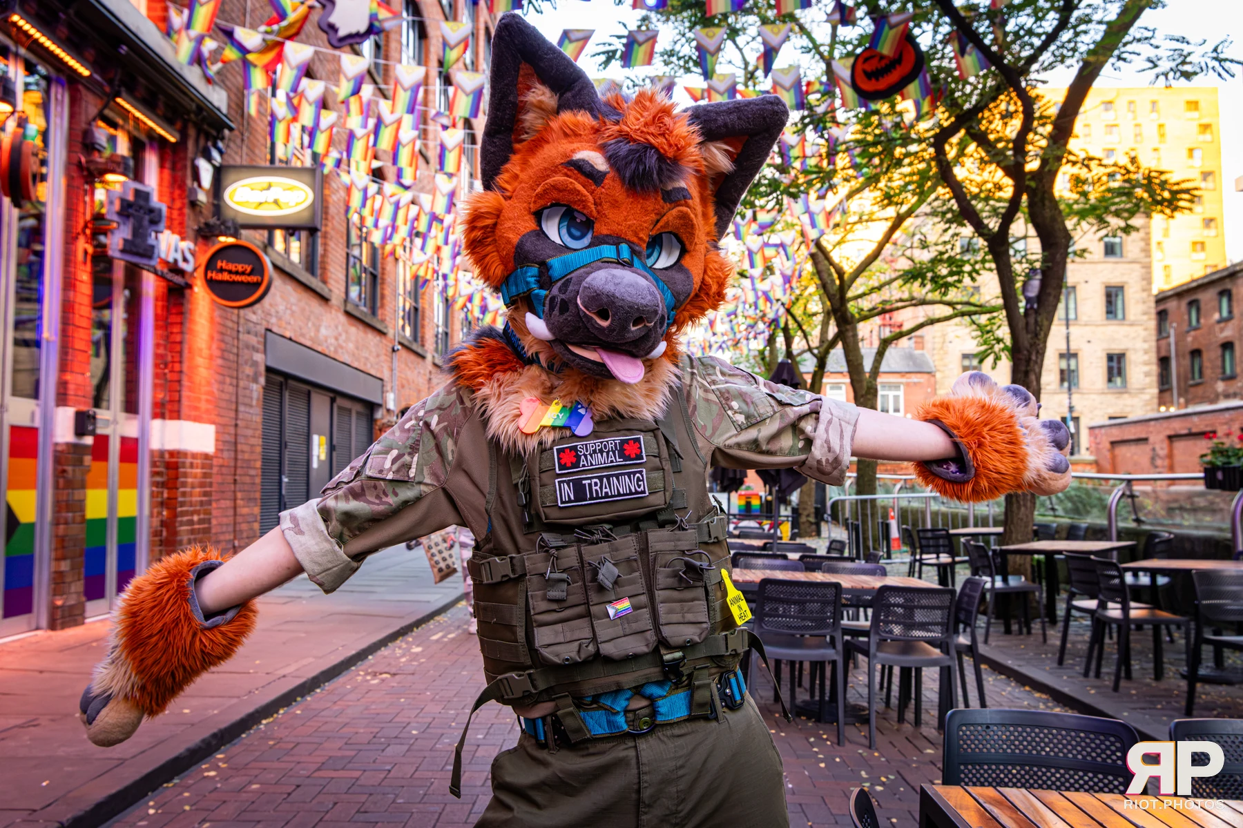 Doggy Weekend 2026 - 18 Oct 2026, Fluffy Riot photography - photo 190