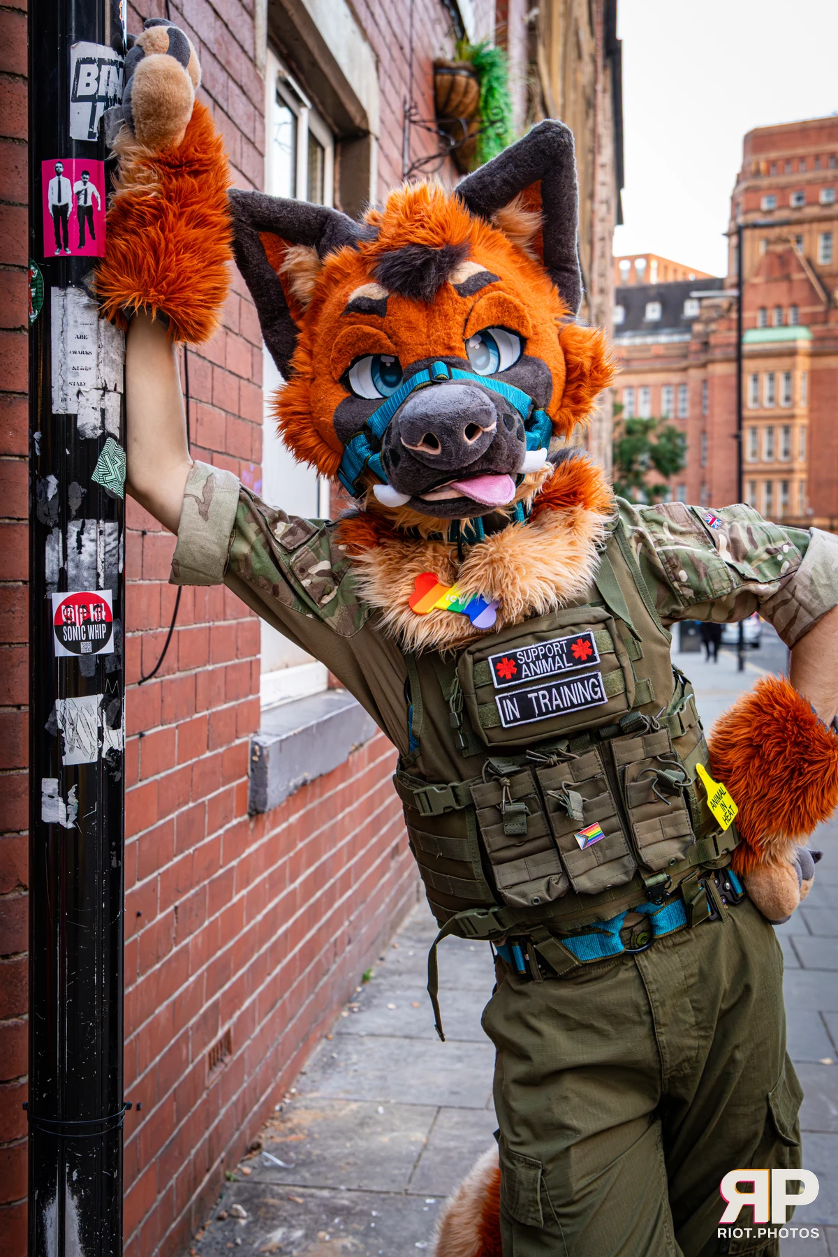 Doggy Weekend 2026 - 18 Oct 2026, Fluffy Riot photography - photo 185