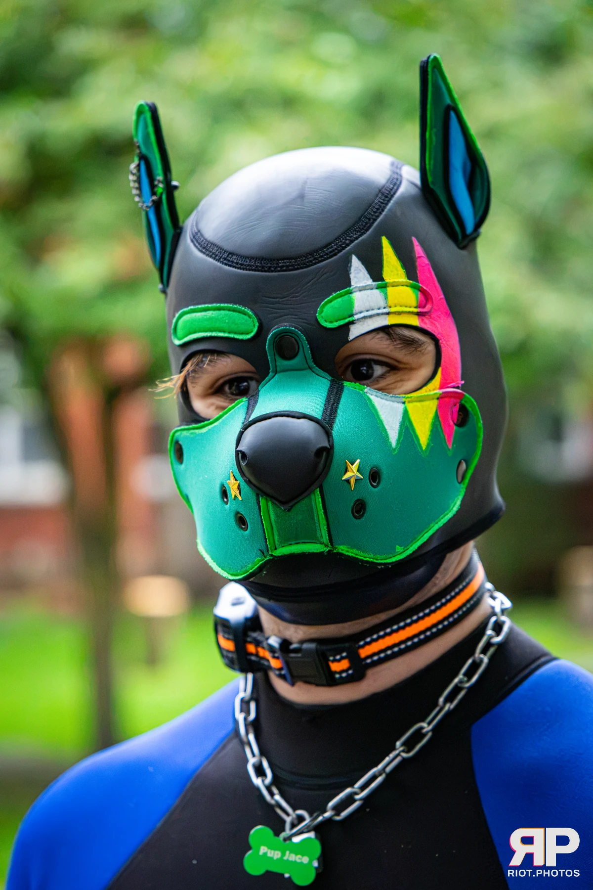 Doggy Weekend 2026 - 18 Oct 2026, Fluffy Riot photography - photo 669