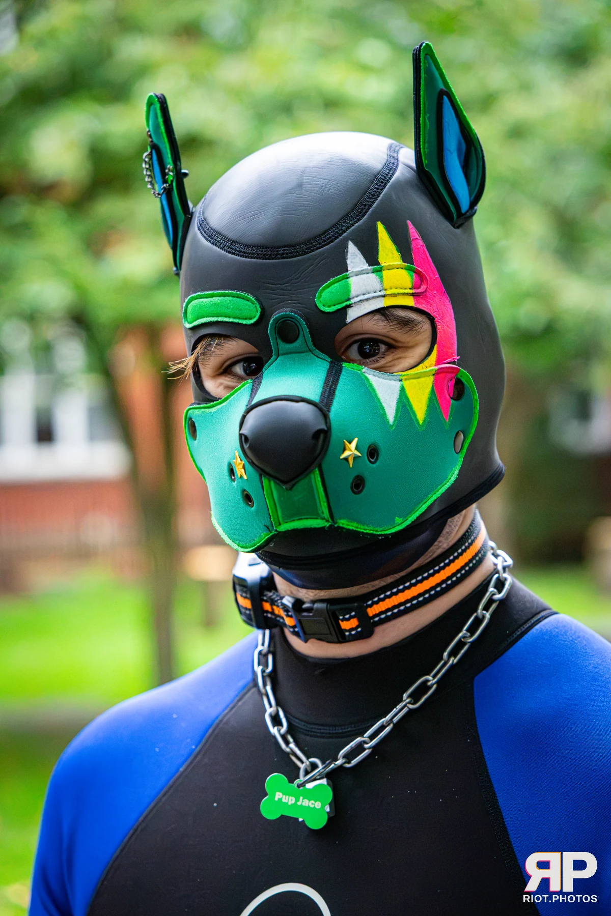 Doggy Weekend 2026 - 18 Oct 2026, Fluffy Riot photography - photo 668