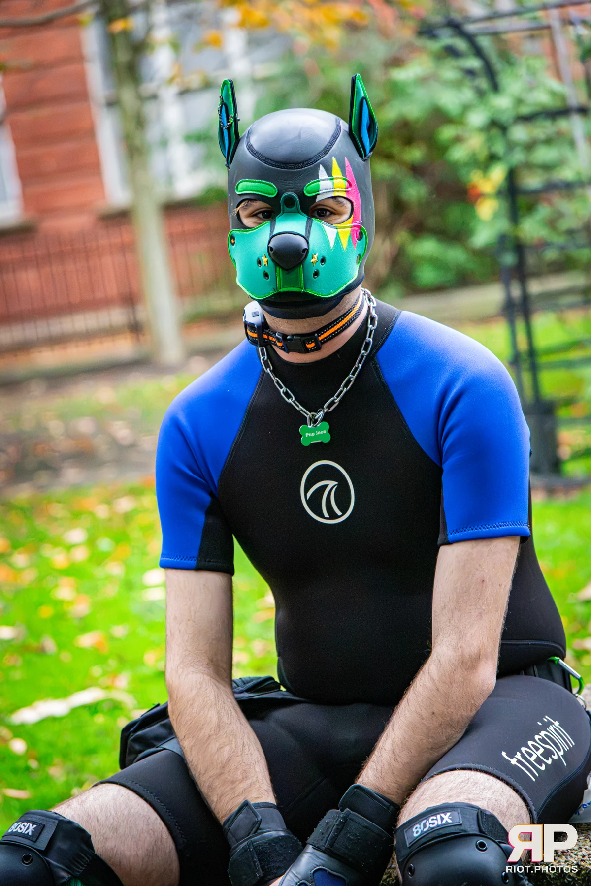 Doggy Weekend 2026 - 18 Oct 2026, Fluffy Riot photography - photo 667