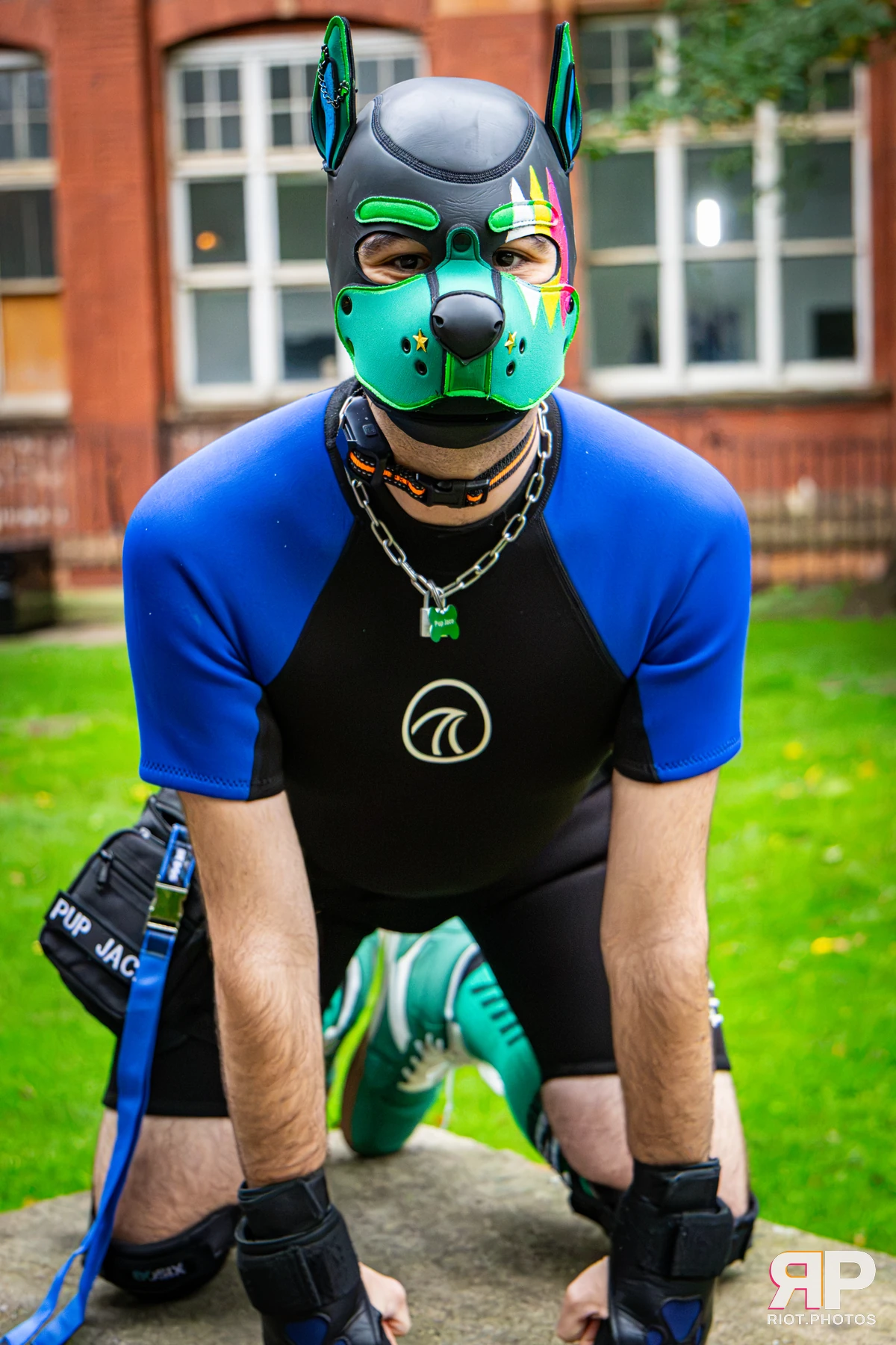 Doggy Weekend 2026 - 18 Oct 2026, Fluffy Riot photography - photo 666