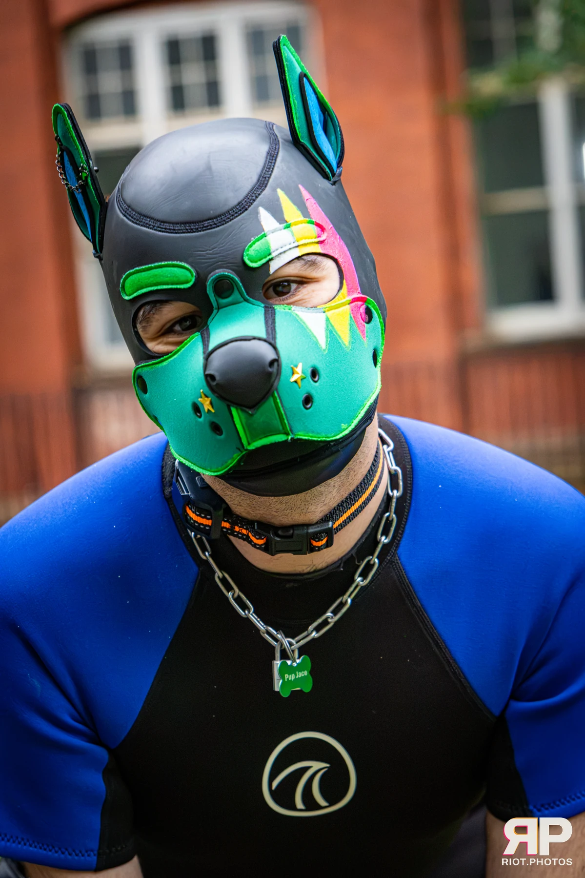 Doggy Weekend 2026 - 18 Oct 2026, Fluffy Riot photography - photo 665