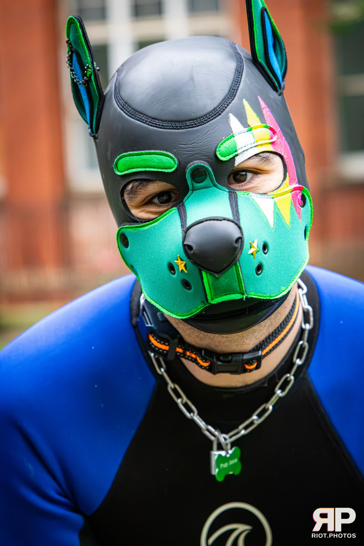 Doggy Weekend 2026 - 18 Oct 2026, Fluffy Riot photography - photo 664