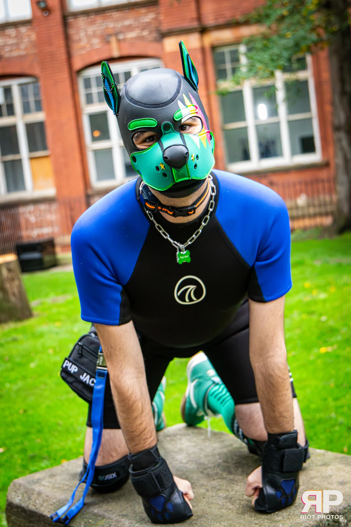 Doggy Weekend 2026 - 18 Oct 2026, Fluffy Riot photography - photo 663