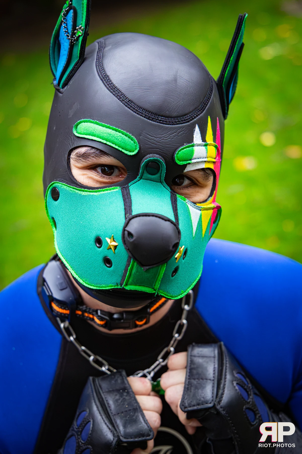 Doggy Weekend 2026 - 18 Oct 2026, Fluffy Riot photography - photo 661