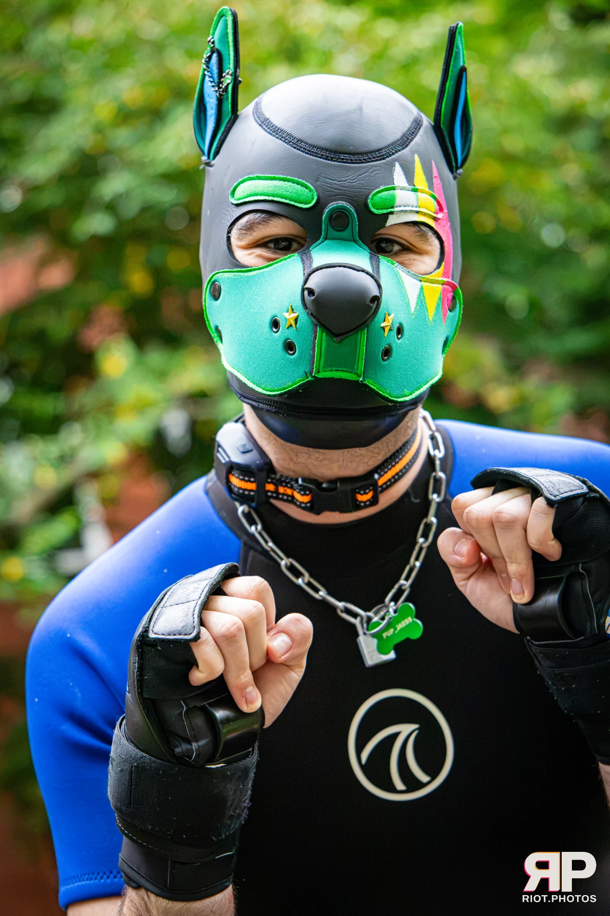 Doggy Weekend 2026 - 18 Oct 2026, Fluffy Riot photography - photo 660