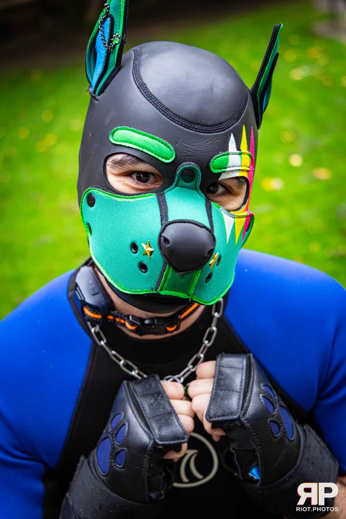 Doggy Weekend 2026 - 18 Oct 2026, Fluffy Riot photography - photo 659