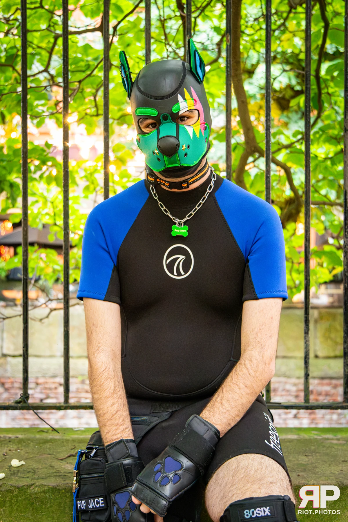 Doggy Weekend 2026 - 18 Oct 2026, Fluffy Riot photography - photo 657