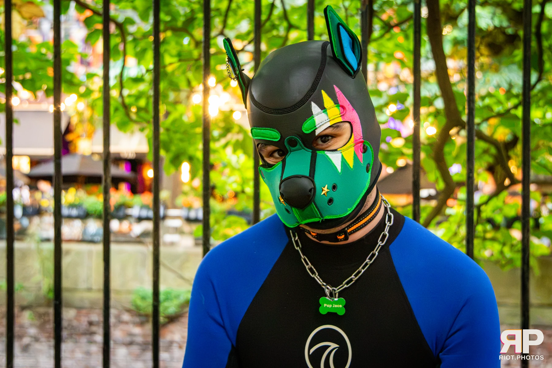 Doggy Weekend 2026 - 18 Oct 2026, Fluffy Riot photography - photo 655