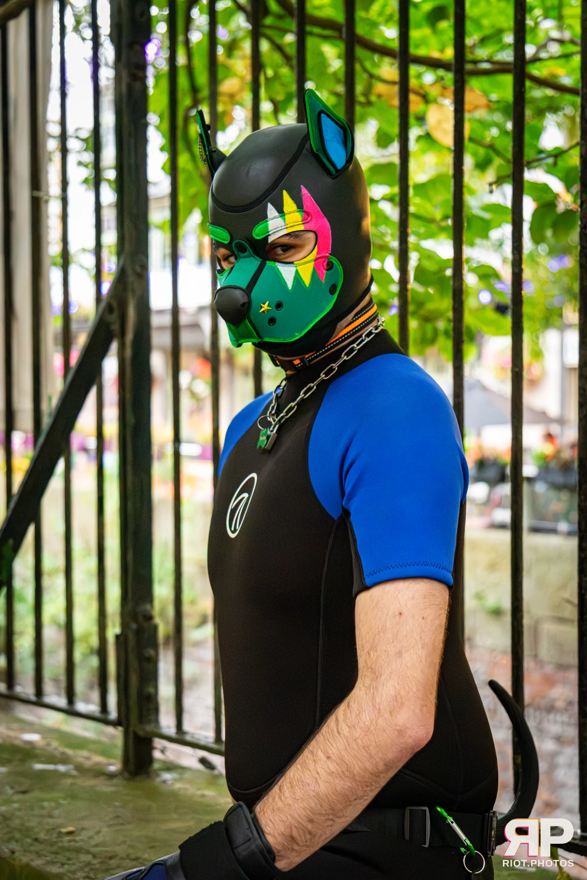 Doggy Weekend 2026 - 18 Oct 2026, Fluffy Riot photography - photo 654