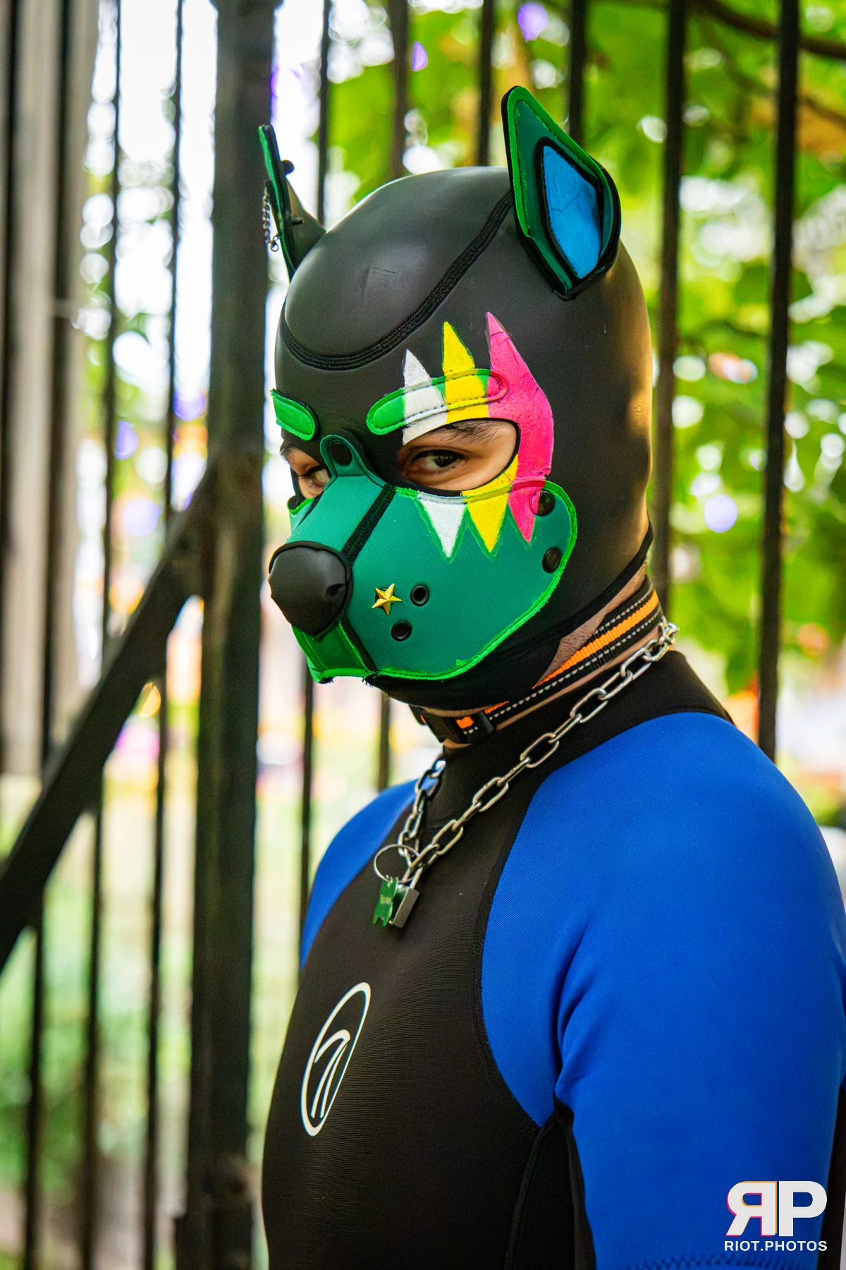 Doggy Weekend 2026 - 18 Oct 2026, Fluffy Riot photography - photo 653