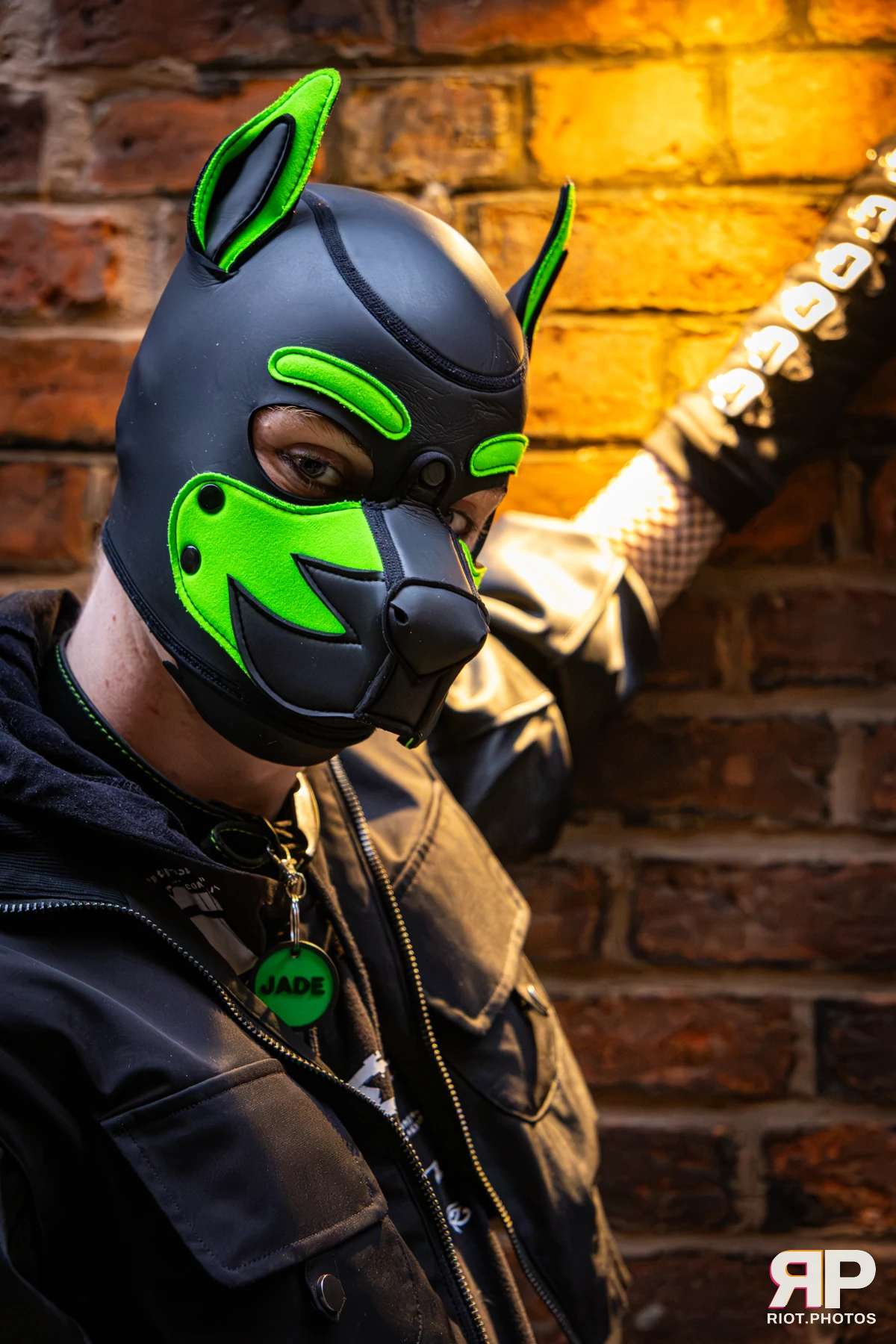 Doggy Weekend 2026 - 18 Oct 2026, Fluffy Riot photography - photo 652
