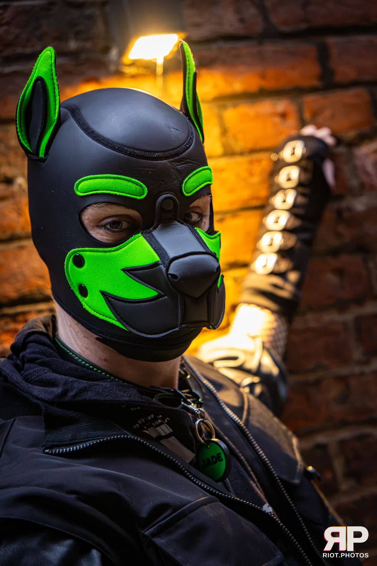 Doggy Weekend 2026 - 18 Oct 2026, Fluffy Riot photography - photo 651