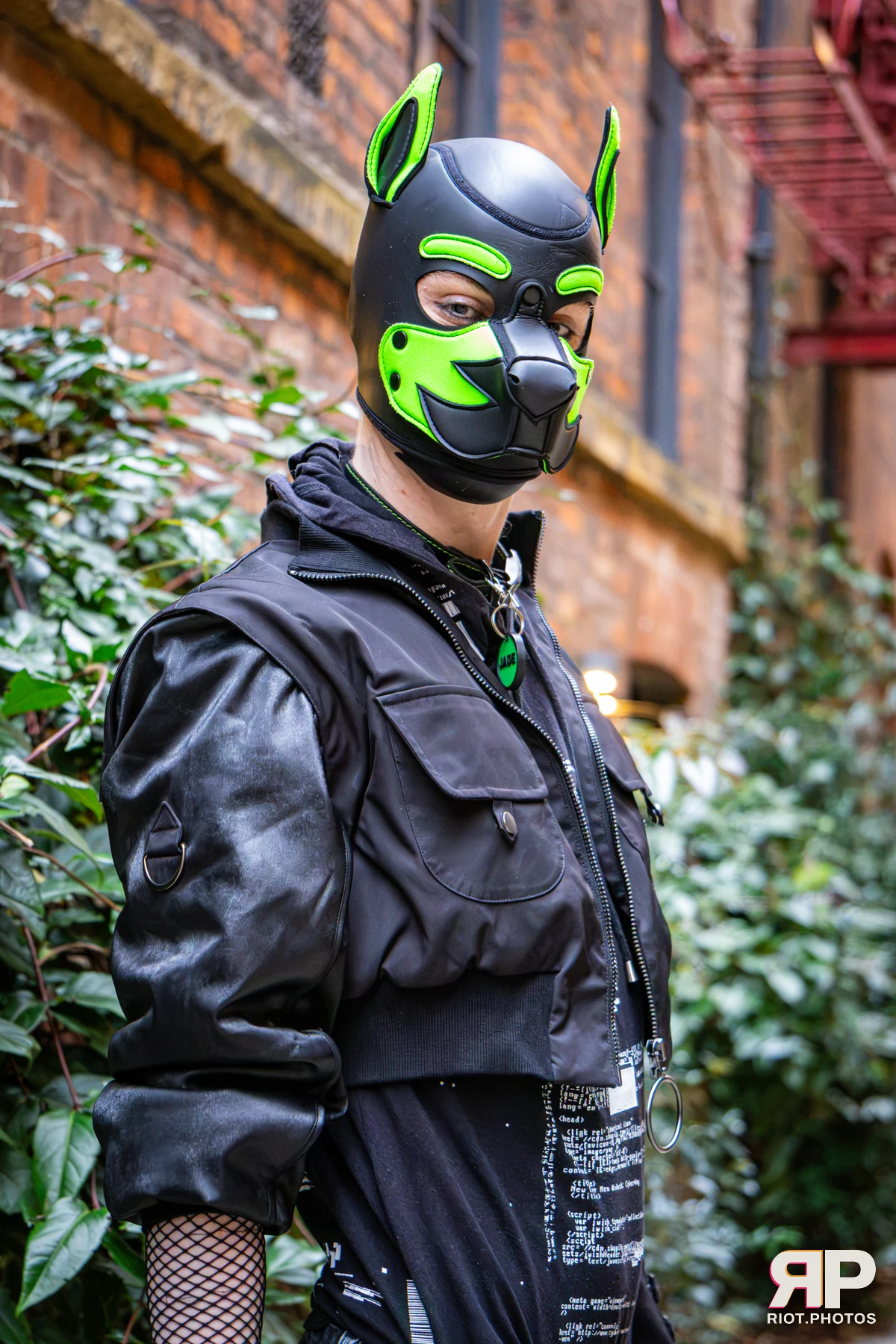 Doggy Weekend 2026 - 18 Oct 2026, Fluffy Riot photography - photo 649