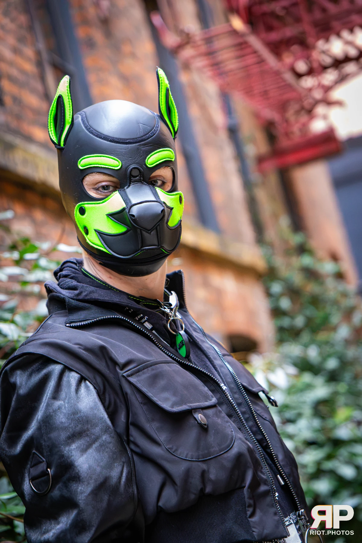 Doggy Weekend 2026 - 18 Oct 2026, Fluffy Riot photography - photo 646