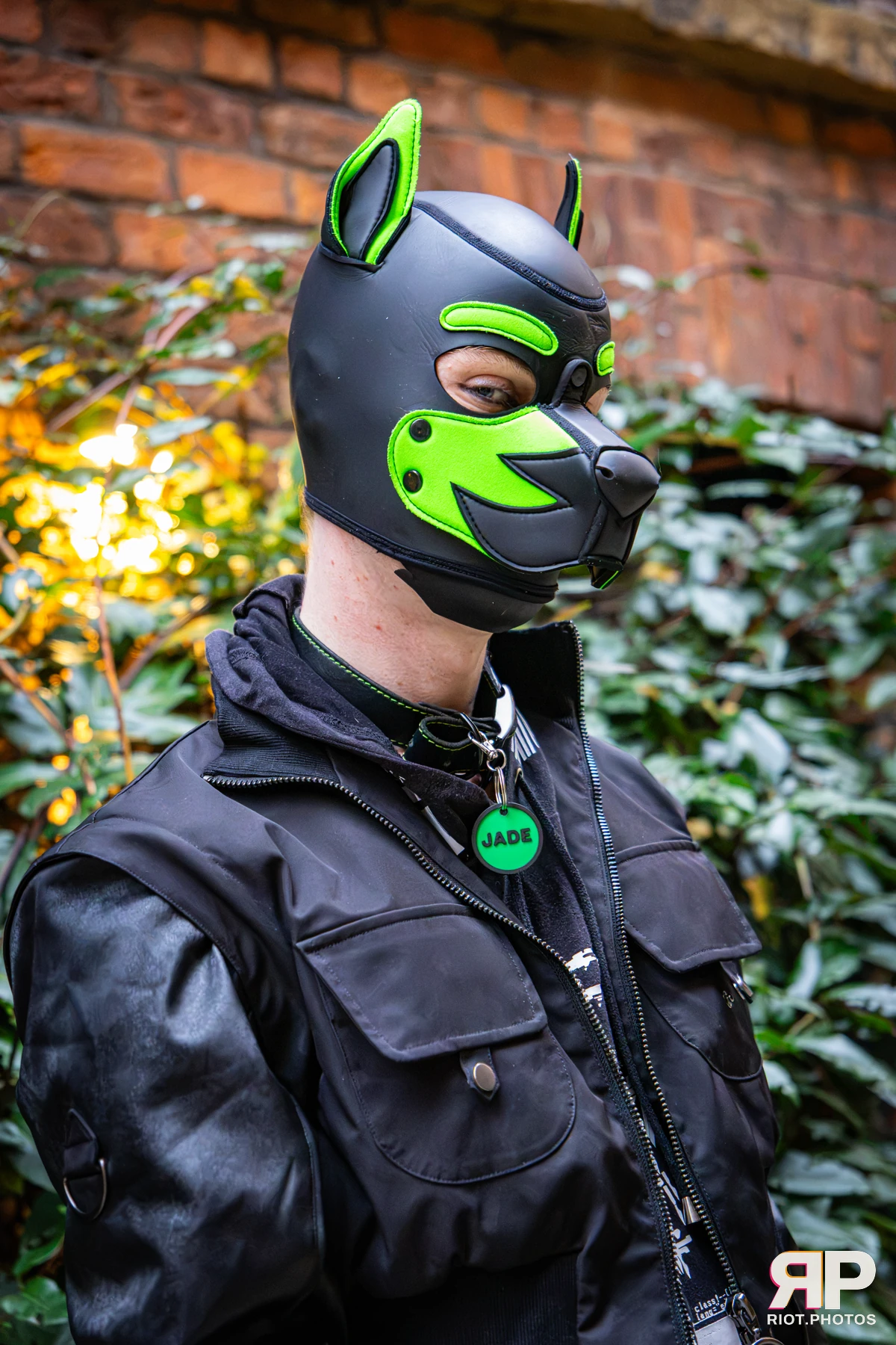 Doggy Weekend 2026 - 18 Oct 2026, Fluffy Riot photography - photo 645