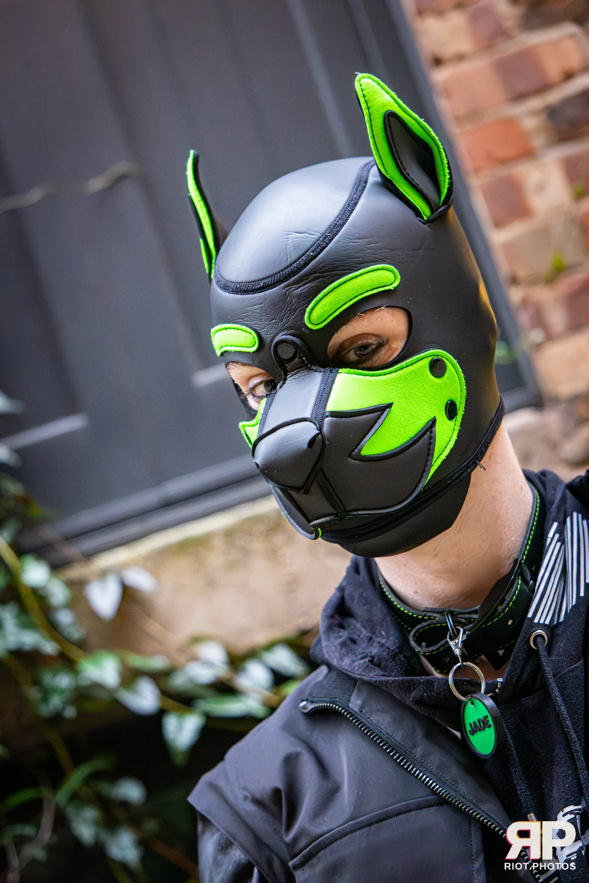 Doggy Weekend 2026 - 18 Oct 2026, Fluffy Riot photography - photo 644