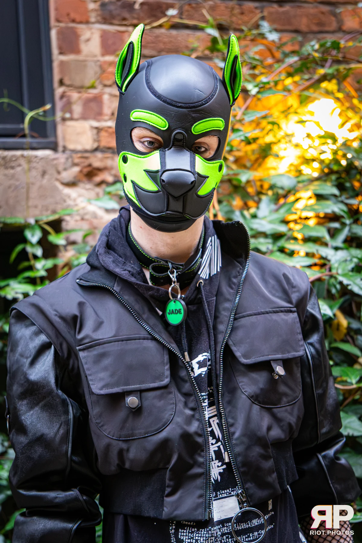 Doggy Weekend 2026 - 18 Oct 2026, Fluffy Riot photography - photo 643