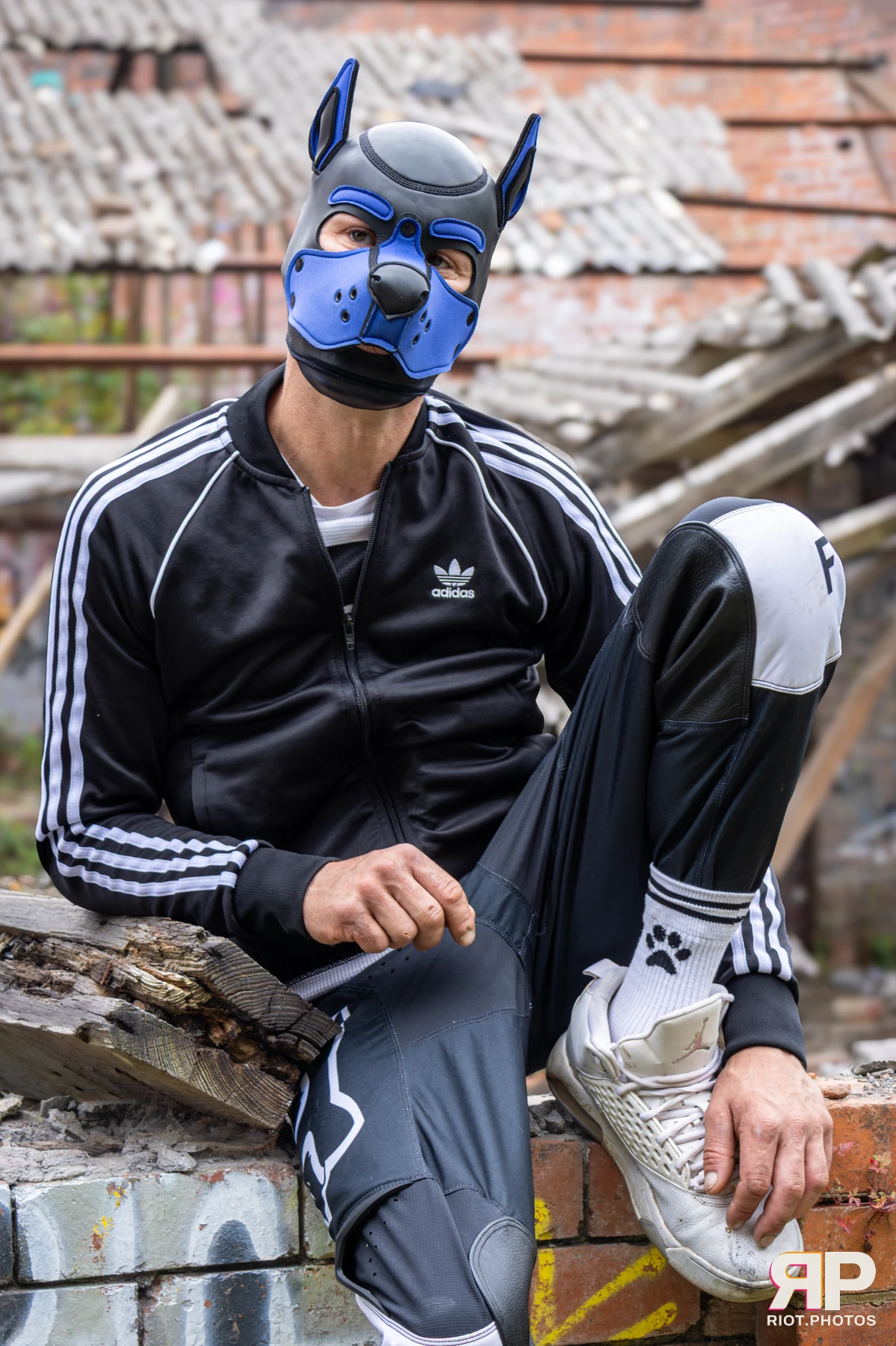 Kai Pup — furry & pup photography by Fluffy Riot — photo 29