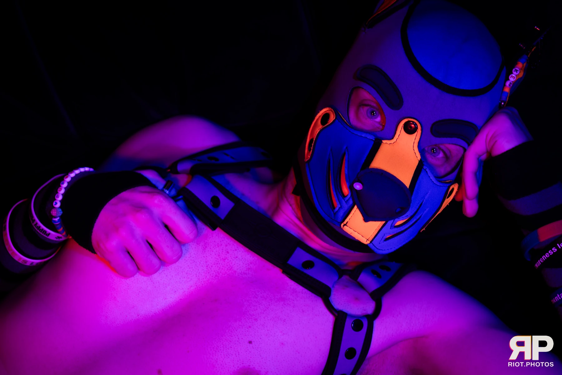 Kemriss — furry & pup photography by Fluffy Riot — photo 10