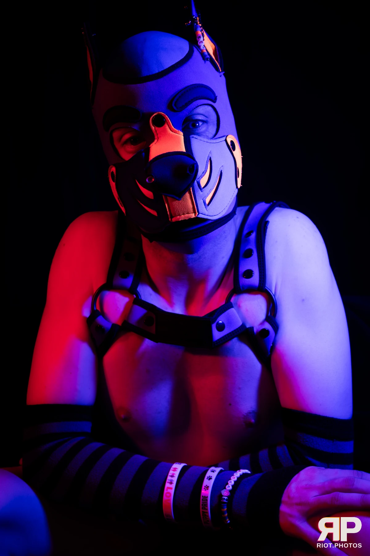 Kemriss — furry & pup photography by Fluffy Riot — photo 14