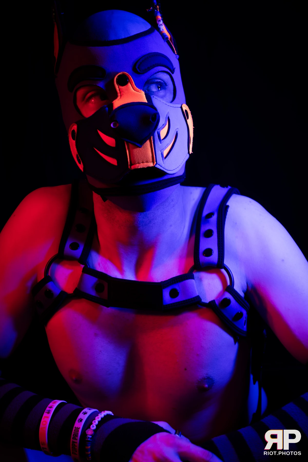 Kemriss — furry & pup photography by Fluffy Riot — photo 15