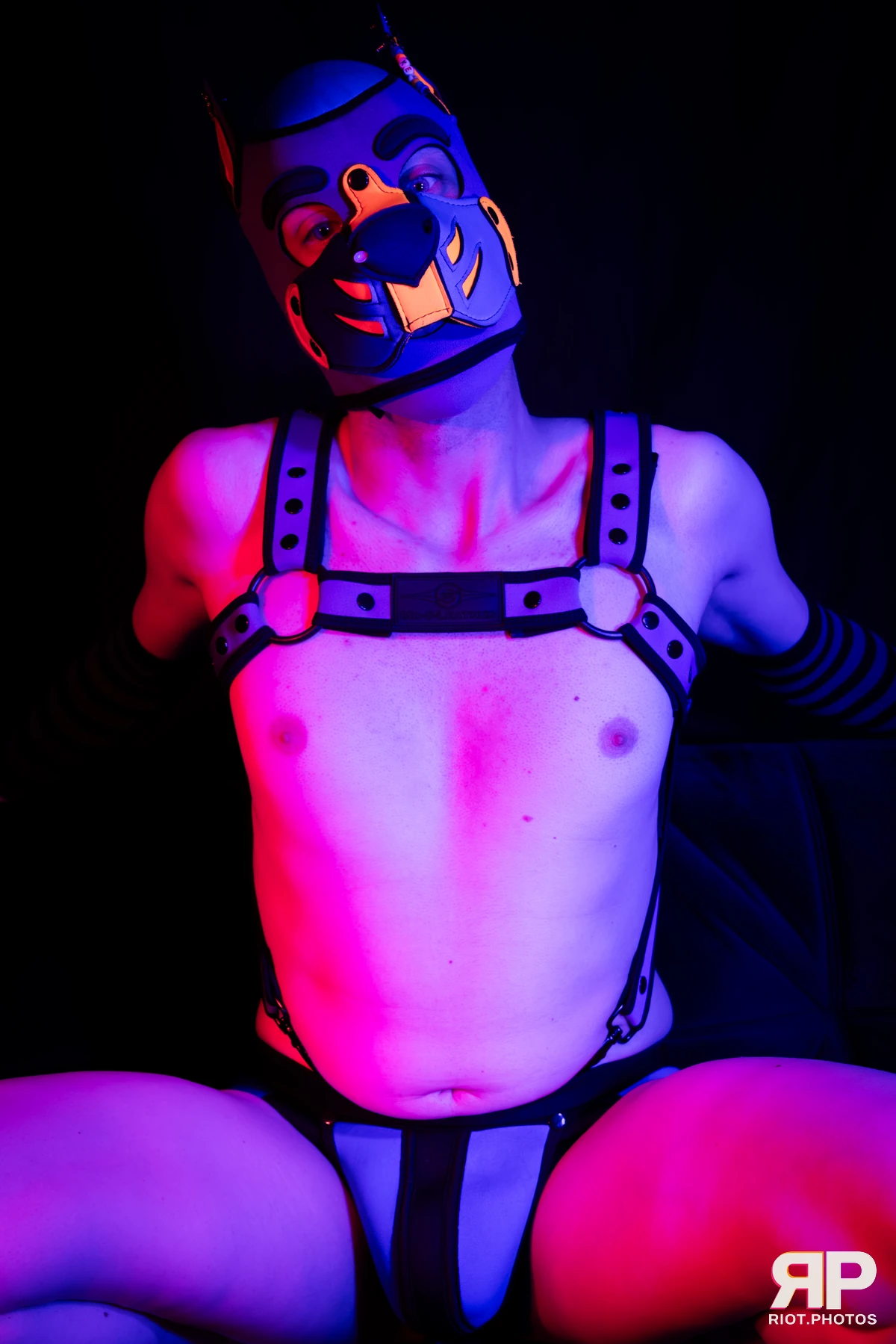 Kemriss — furry & pup photography by Fluffy Riot — photo 23