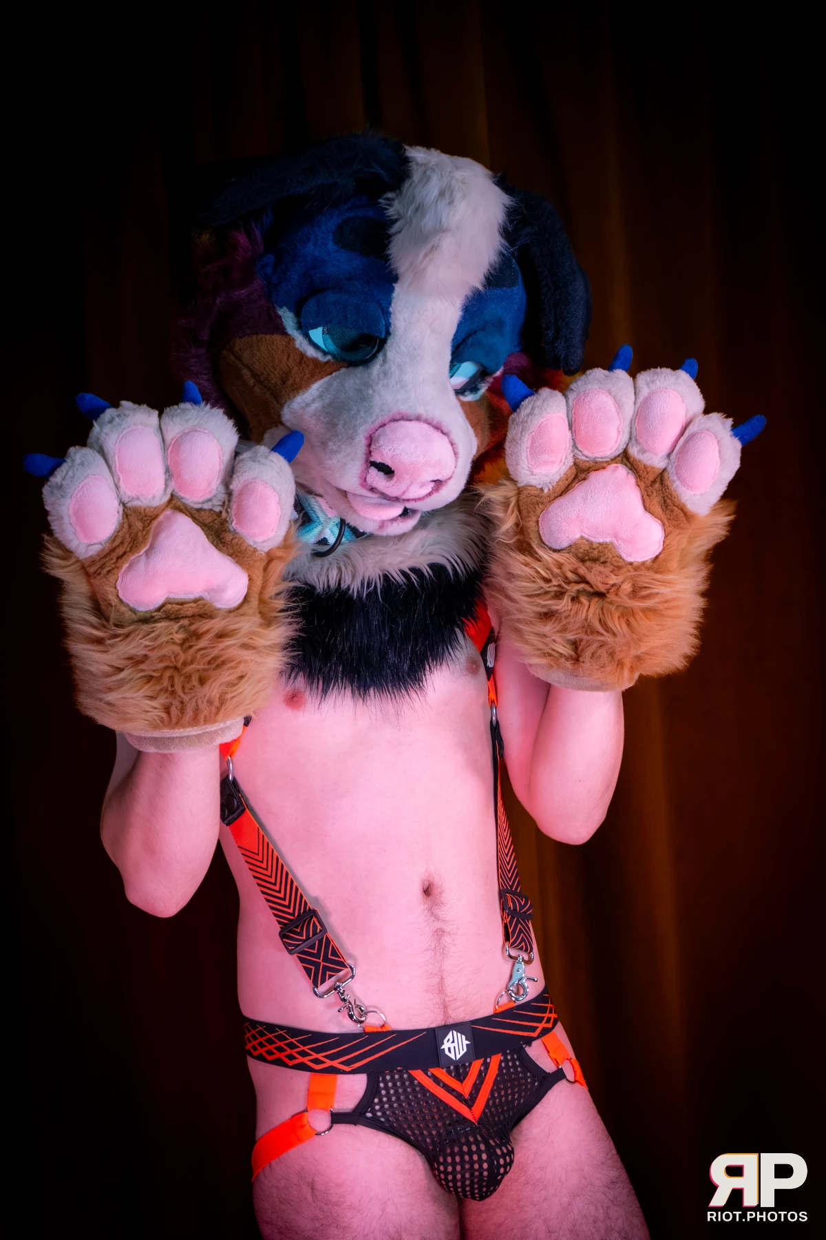 Kepler - furry & pup photography by Fluffy Riot - photo 57
