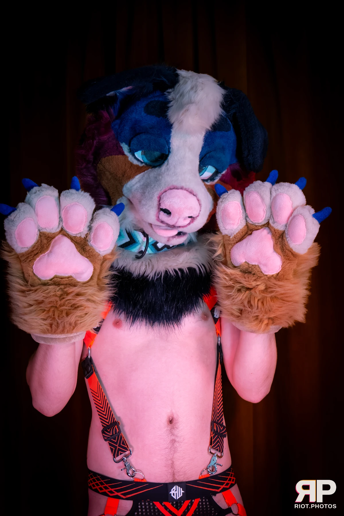 Kepler - furry & pup photography by Fluffy Riot - photo 56