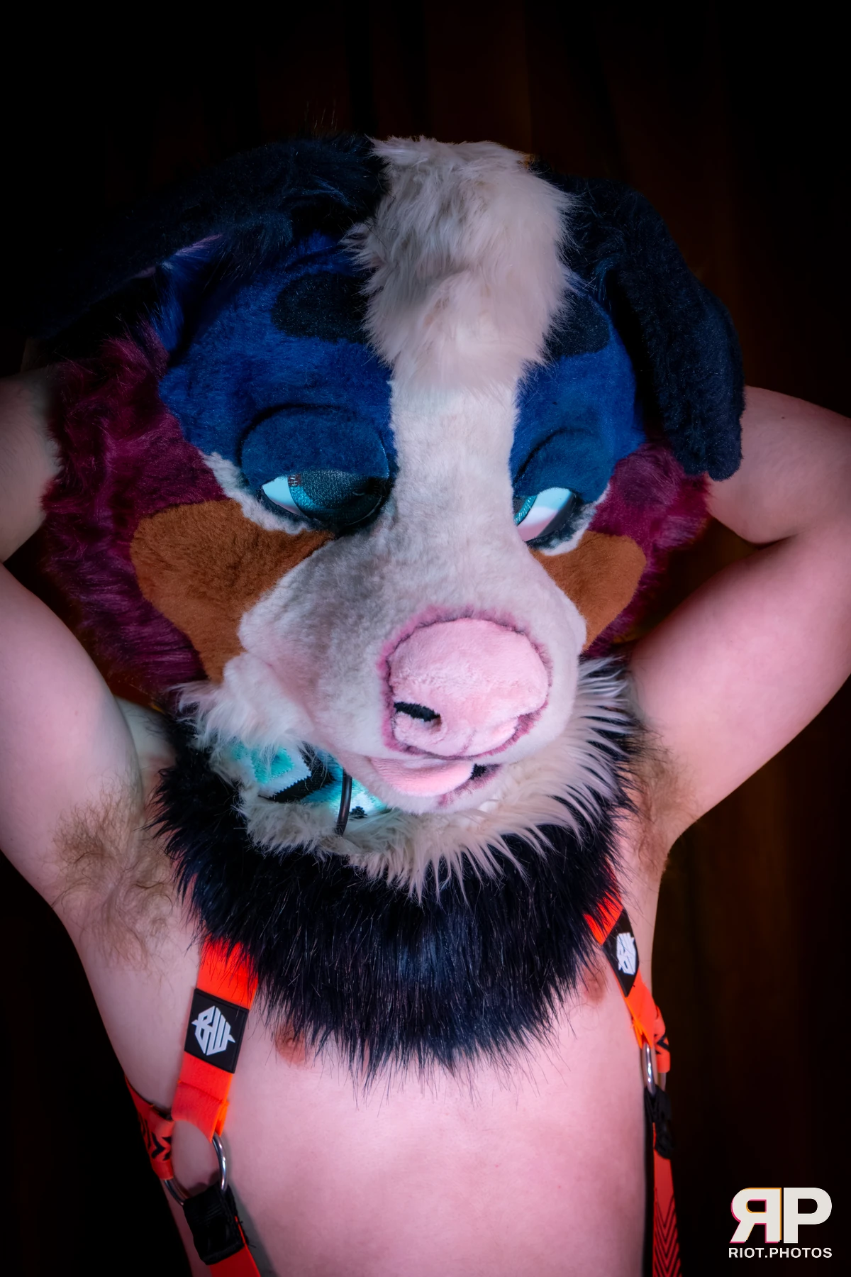 Kepler - furry & pup photography by Fluffy Riot - photo 54