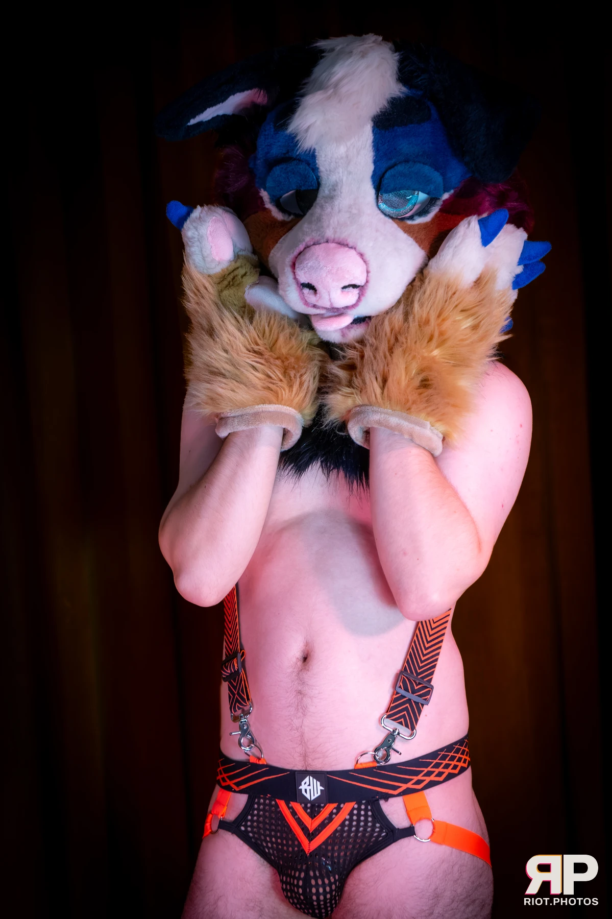 Kepler - furry & pup photography by Fluffy Riot - photo 53