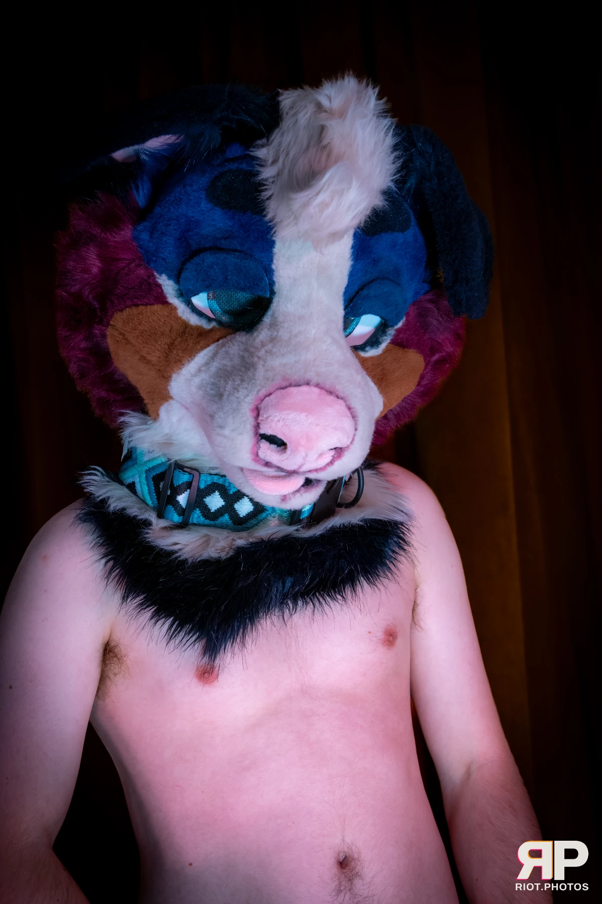 Kepler - furry & pup photography by Fluffy Riot - photo 47